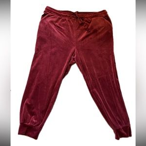 Women’s Torrid Velour Sleep Joggers